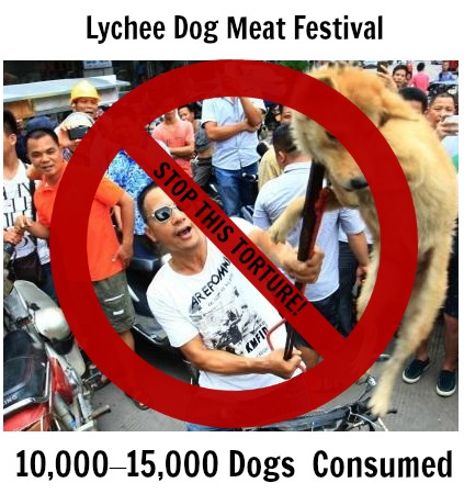 stop this torture.jpg