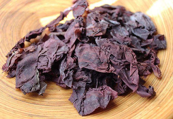 dulse seaweed