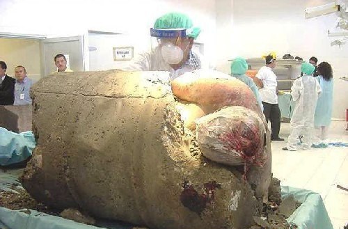 Image result for amado carrillo fuentes death