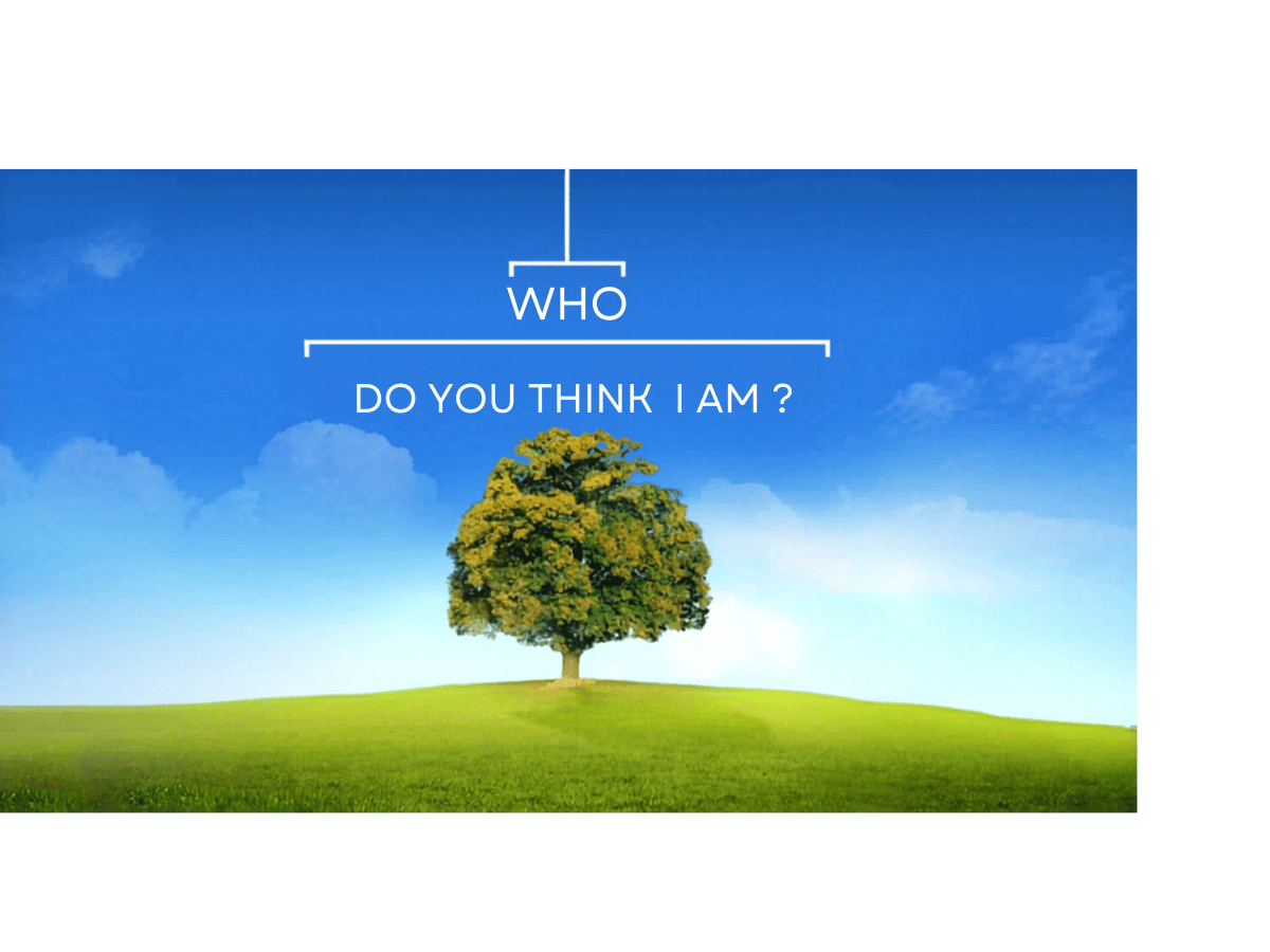 Who do you think I am&nbsp;?
