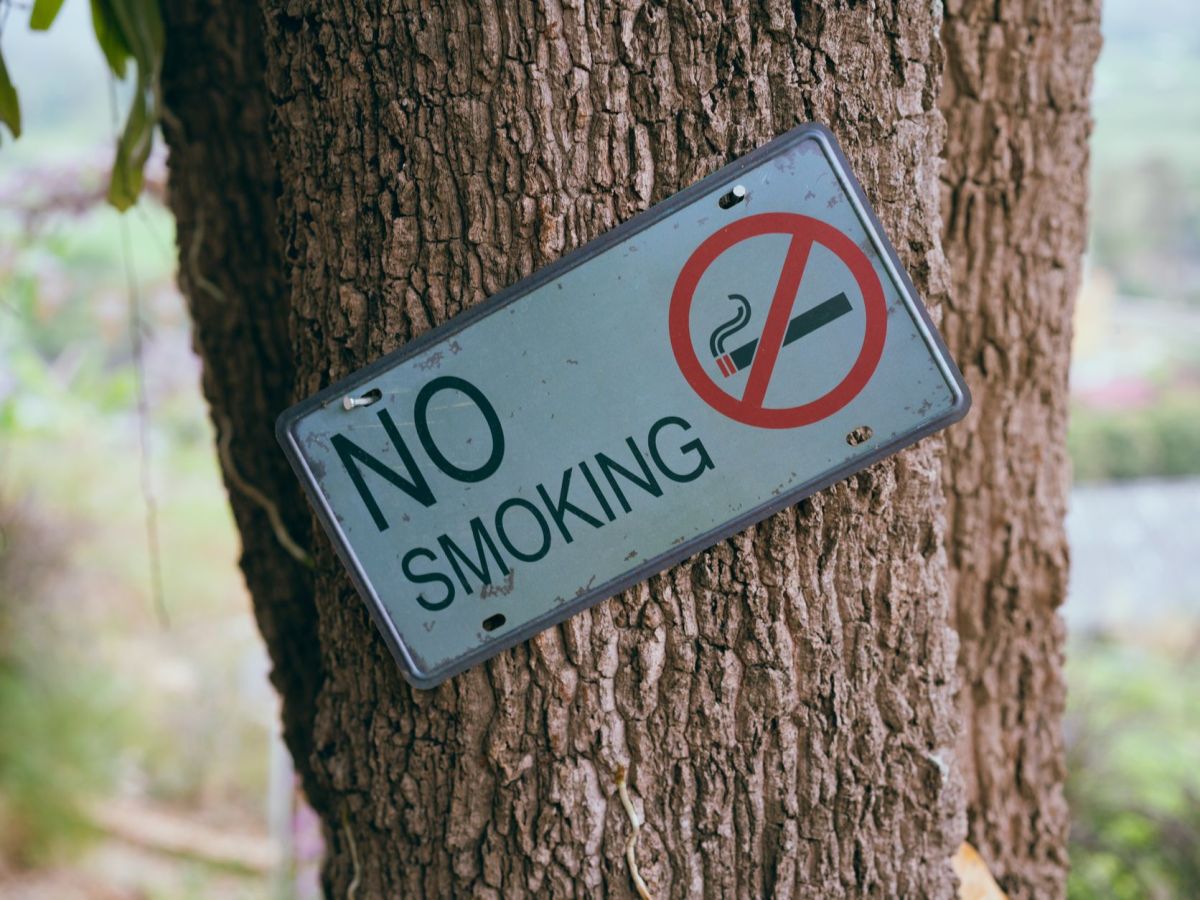 My Stop-Smoking Diary & cancer&nbsp;scare